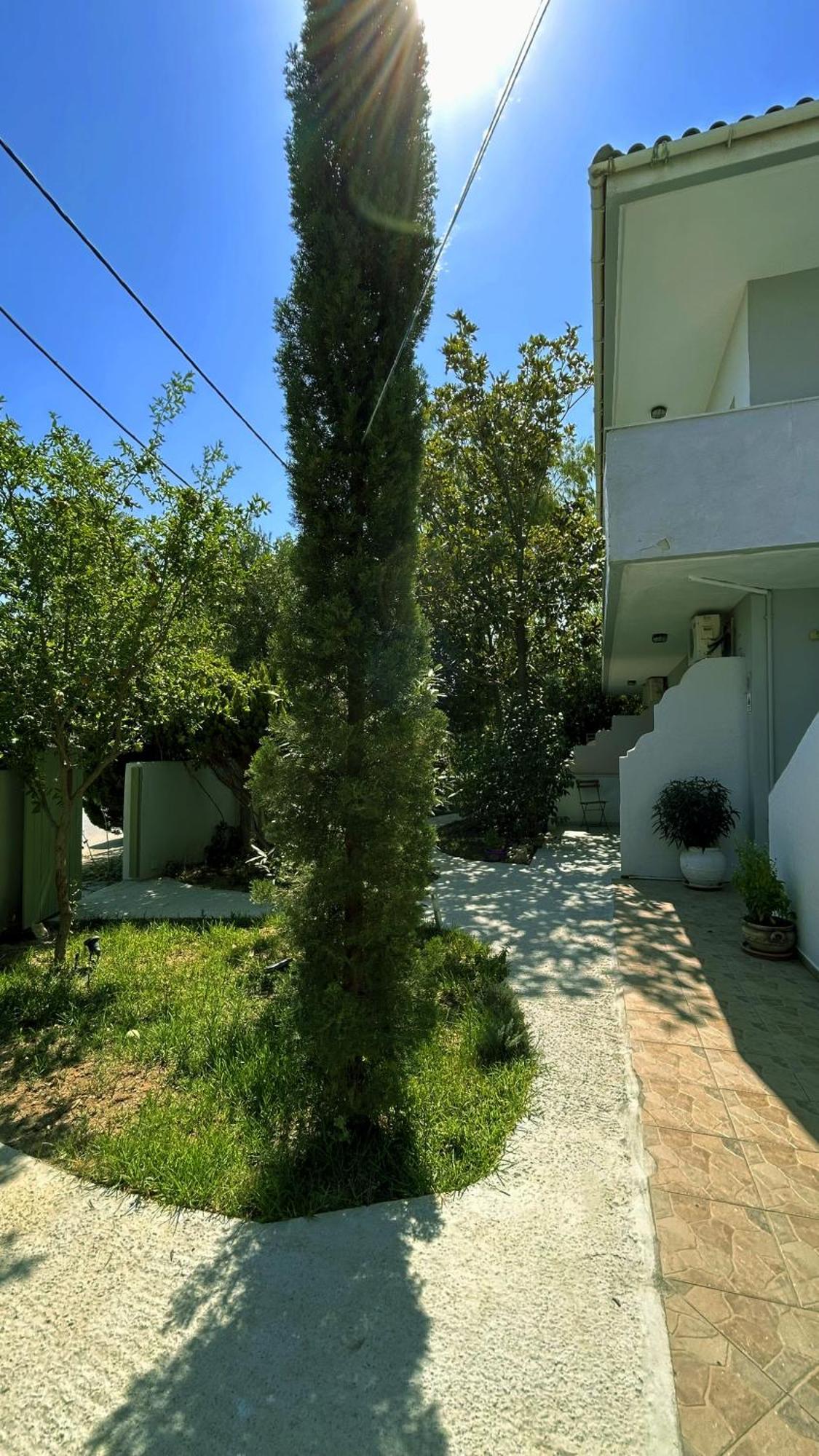 尼基季Anthonas House公寓 外观 照片