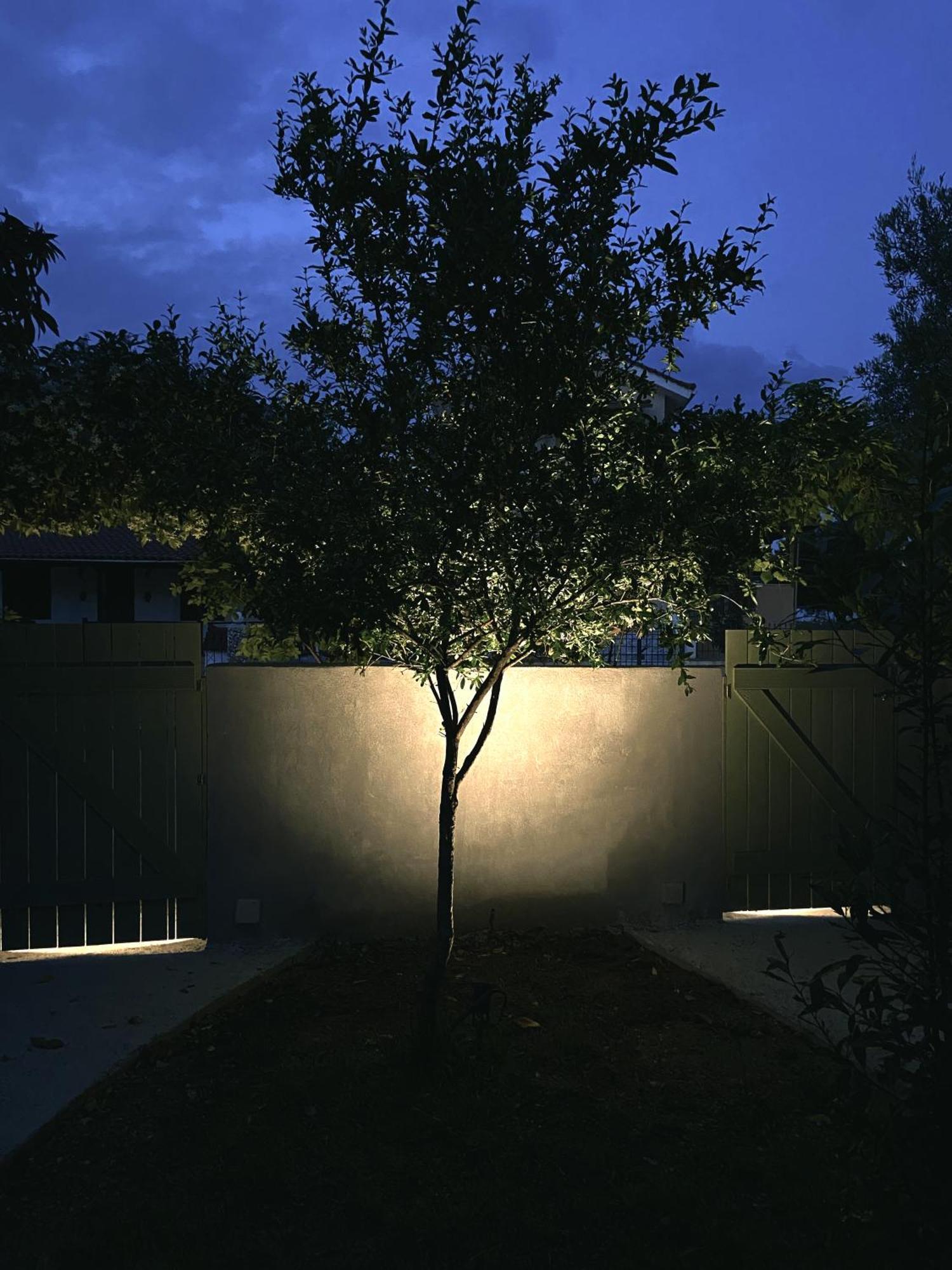 尼基季Anthonas House公寓 外观 照片