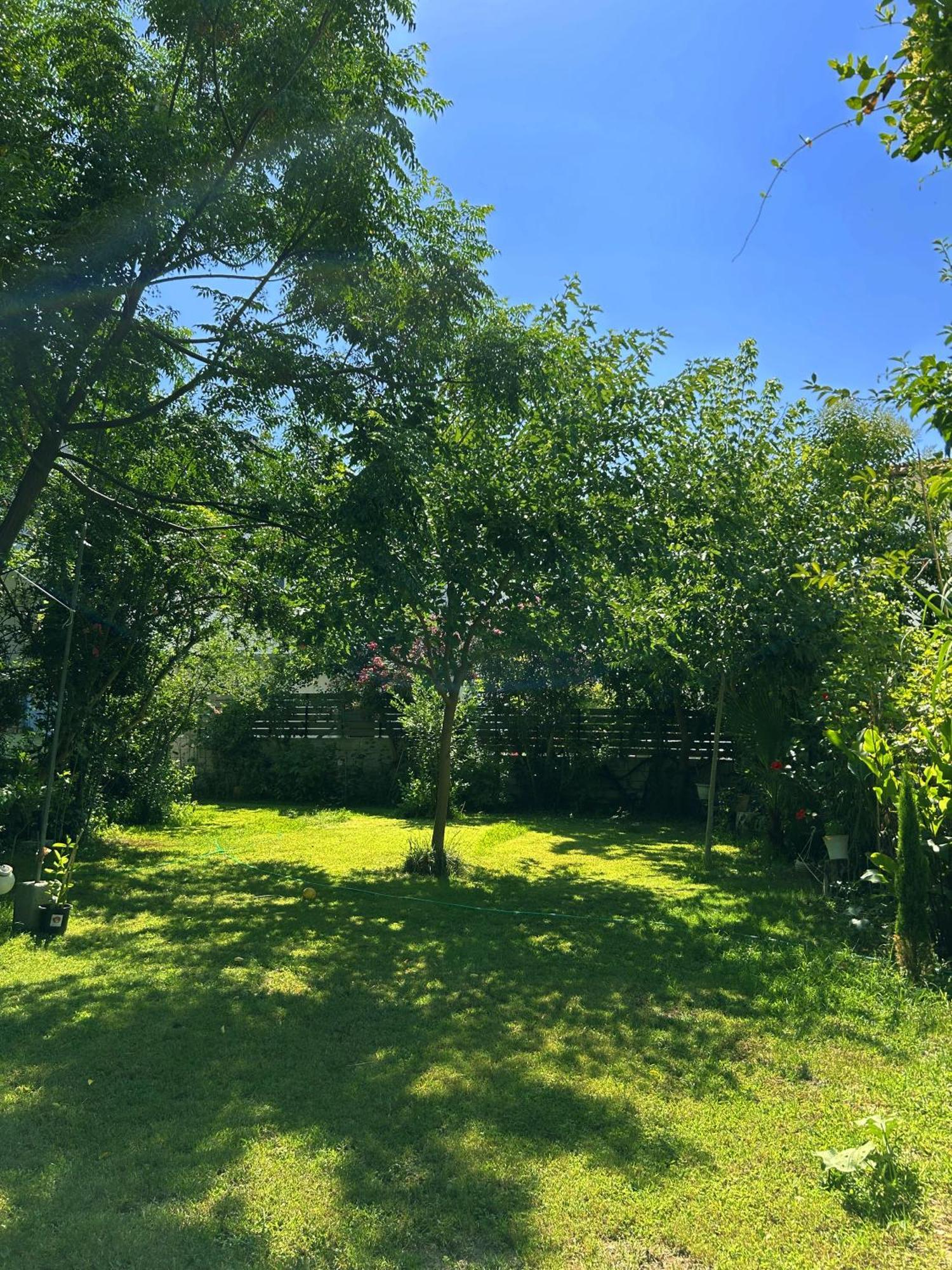 尼基季Anthonas House公寓 外观 照片